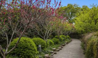 无锡梅村到蠡湖公园座公交该怎样座车 无锡蠡湖中央公园