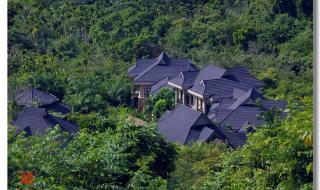 呀诺达热带雨林 呀诺达热带雨林