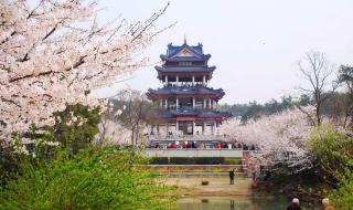 鼋头渚门票团购