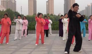 85式杨式太极拳终点能回到起点吗 杨氏85式太极拳教程