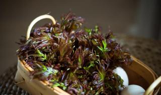 三种人不宜吃香椿