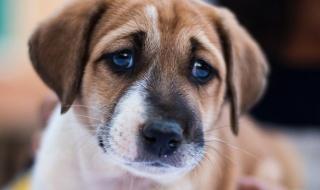 一个女人成天给你要礼物是爱你吗 需要你的爱