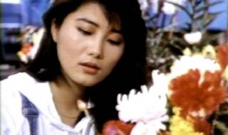 捉鬼女天师 捉鬼女天师