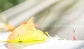 qq群恢复系统 qq群恢复系统