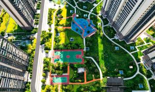 碧桂园宣布破产2023