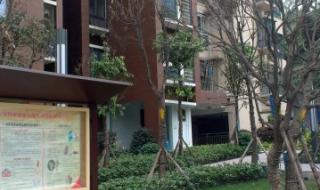 重庆公租房哪点的最好 重庆杨家坪房屋出租