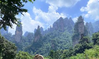张家界一日游大概需要多少钱 张家界需要多少钱