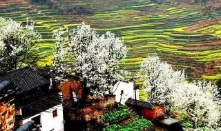 庐山二日游最佳路线 庐山二日游最佳路线