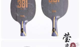 哪个牌子乒乓球最好打 哪个牌子乒乓球最好打